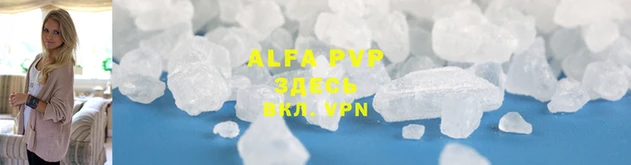 индика Абаза